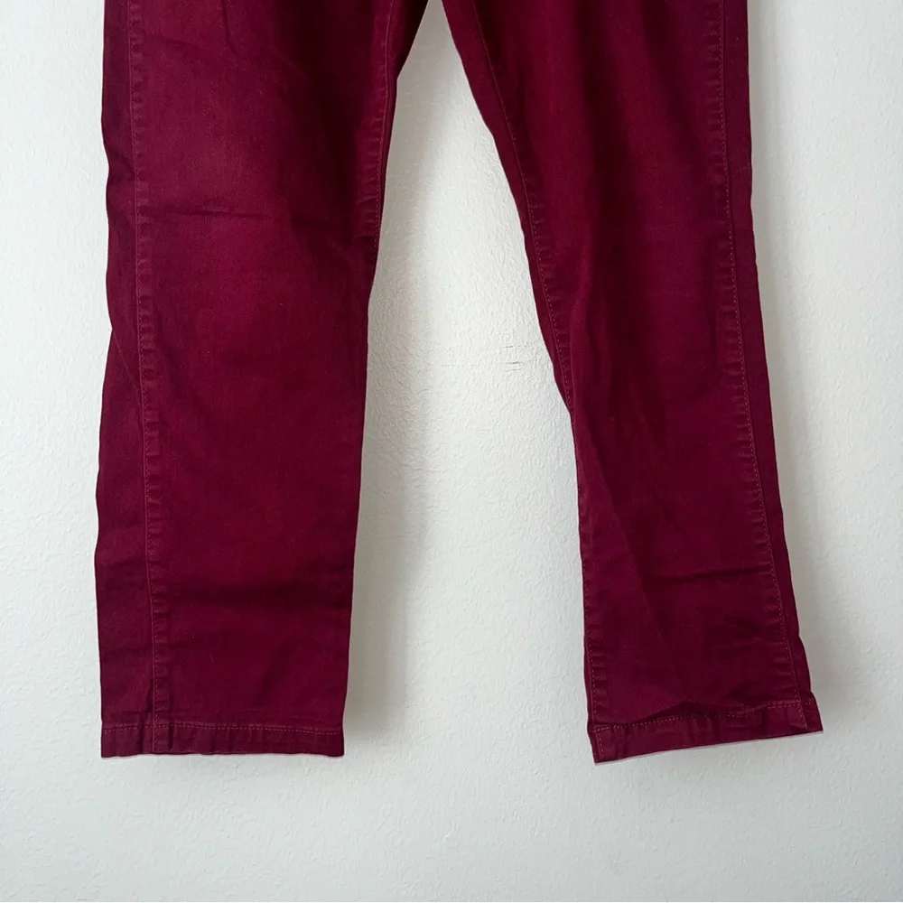 TCP Burgundy Chino‎ / SZ 10 H